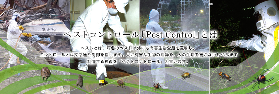 ペストコントロール「Pest Control」とは03